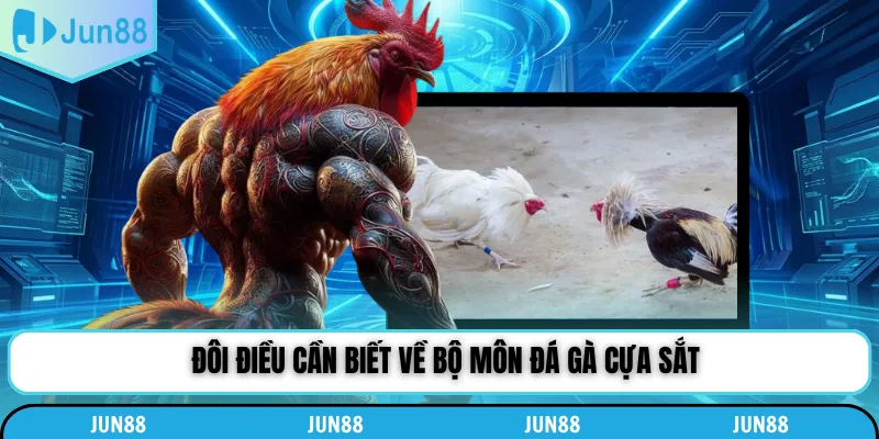 Đôi điều cần biết về bộ môn đá gà cựa sắt