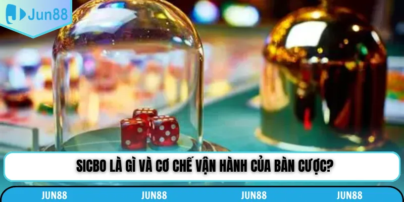 Sicbo là gì và cơ chế vận hành của bàn cược?